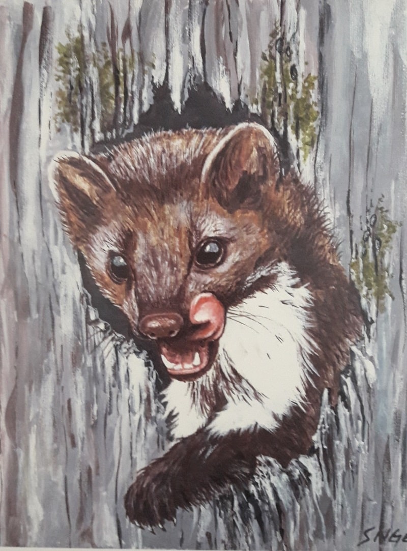 Steinmarder Acryl